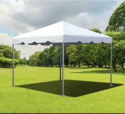 10x10 Frame Tent